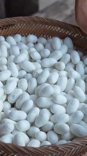 Exploring Traditional Chinese Handmade Crafts