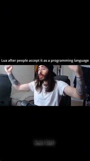Programming Languages Slander 🖥️👩‍💻💻 #slander #programminglanguage #codingmeme #programmingmemes