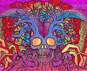 CANCIONES SIGNIFICATIVAS SOBRE EL LSD | PyD