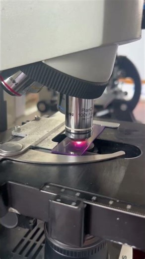 Vaginal cytology in Dog 🐕 #vaginalcytology #theteluguvet #petclinic #petpractice #vetgynaecology