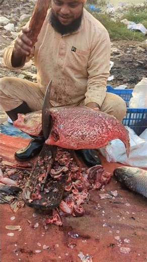 Popular Village silver fish cutting expert #shorts