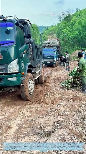 Logjam Rescue: The Pull That Saves a Forest Haul
