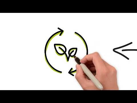 What is Electronic and Electrical Engineering?