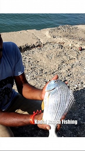88K views · 1K reactions | Silver Bream Fish Fishing in inshore | Kadal Raasa Fishing | Facebook