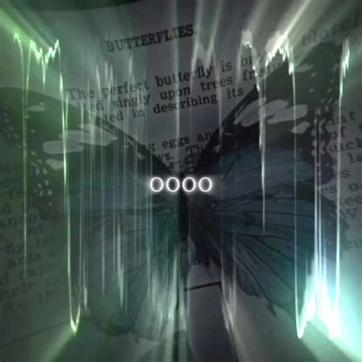 The Butterfly Effect Explained