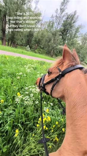 She literally gets depressed #fyp #foryoupage #horses #tiktokk #depresion