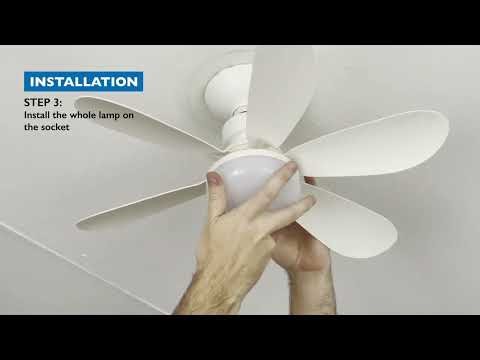 Mica Flower Fan Light Video