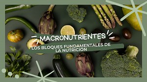 En este video de YouTube te explicaremos de forma clara y sencilla qué son los macronutrientes y por qué son tan importantes para nuestra salud y bienestar. Descubrirás cómo los carbohidratos, las proteínas y las grasas son los bloques fundamentales de nuestra alimentación, proporcionándonos la energía y los nutrientes necesarios para funcionar correctamente. | Dream Store | Facebook
