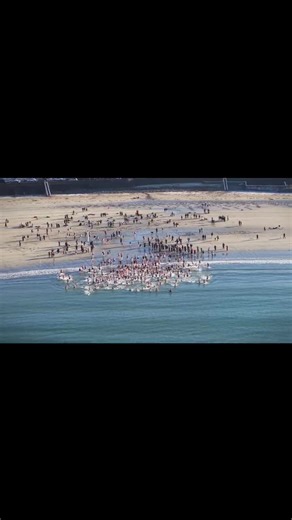 14K views · 326 reactions | Christmas Day swim, in aid of Kilkee Sub Aqua Club. Kilkee, Co. Clare What a glorious and beautiful Christmas morning, huge crowd and festive atmosphere. Happy Christmas  Gorgeous drone footage by birds_eye_biker (Instagram) #christmas2025 #ChristmasDaySwim #westclare | Kilkee.ie | Facebook