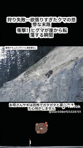 動物園での愛護活動と動物たちの日常