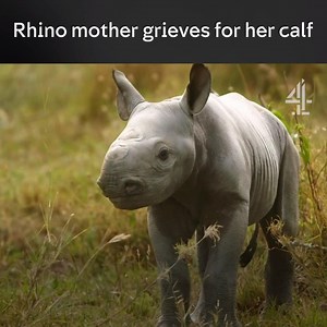 127K views · 613 reactions | A mother’s heartbreak  | Channel 4 | Facebook