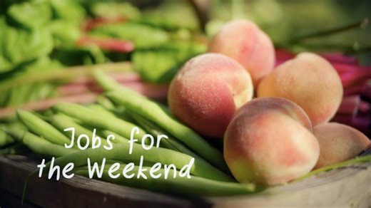 52K views · 841 reactions | BBC Gardeners World on Reels | Facebook