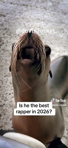 G Lion: The Sea Lion Rapper Making Waves