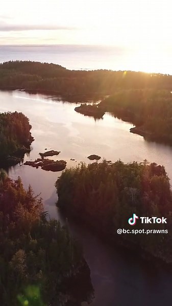 The clean, pristine waters of BC are home to some of the most delicious and high- quality seafood in the world. BC Spot Prawns are naturally sweet, succulent, and sustainably harvested—perfect for any seafood lover! 🍽️ Who’s ready for spot prawn season? #buybc @eatdrinkbuybc