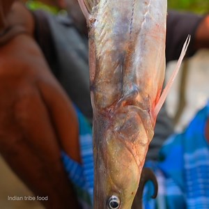 469K views · 5.3K reactions | Big size river fish cutting and eating | aar fish recipe | Indian tribe food | Facebook