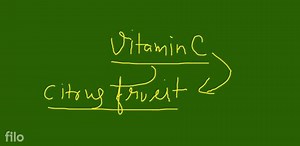 Which of the following are included in first class levers?... | Filo