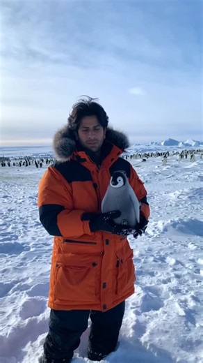 Mrityunjai Gaur on Instagram: "I put a camera mount on a penguin’s head 🐧🍕 Domino’s Ka Dhamakedar Offer 🍕 Domino’s – All Valid Coupon Codes 👇 SUPER2026 ₹110 OFF on Minimum Order Value ₹249 BITE4326 ₹100 OFF on MOV ₹249 (New Users Only) SNAC4326 Up to ₹200 OFF on MOV ₹399 (First 2 Orders) MELT4326 Up to ₹300 OFF on MOV ₹499 (First 2 Orders) YUM4326 ₹120 OFF on MOV ₹299 (New Users Only) 📝 Note: • Offer valid on Delivery only • Valid for First 2 Orders • Free Delivery available"