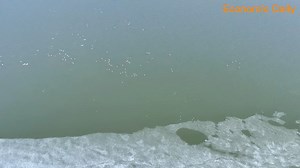 435K views · 8.9K reactions | Top Economic News on Finance, Corporate and Market in China. | Economic Daily, China | Facebook