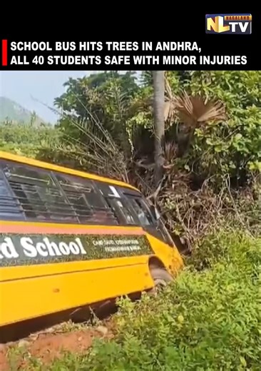 SCHOOL BUS HITS TREES IN ANDHRA, ALL 40 STUDENTS SAFE WITH MINOR INJURIES A school bus carrying 40 students in Andhra Pradesh lost control and hit a few trees. Luckily, all the students escaped with only minor injuries. The accident caused panic, but there were no serious injuries or deaths. Police are looking into what caused the crash. #AndhraPradesh #SchoolBusAccident #BusCrash #StudentSafety #MinorInjuries #CloseCall #NLTV #NLTVNEWS | NLTV
