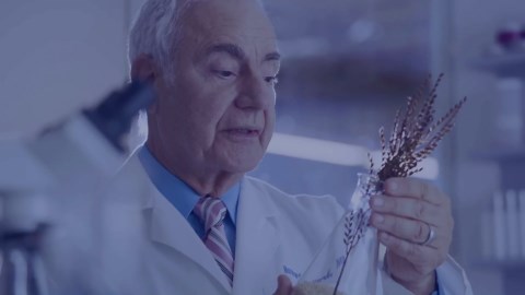 Murad Acne Body Wash – Salicylic & Glycolic Acid Body Cleanser with Green Tea & Licorice Root Extracts for Treating Body Breakouts, Exfoliate, Oil Control, & Soothe Skin – 8.5 Fl Oz