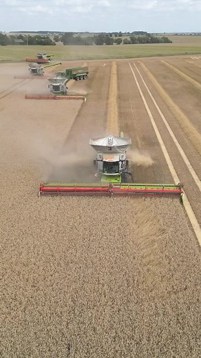 Raccolta Grano in Italia: Vita Agricola