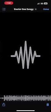 Booter Bee (unreleased)