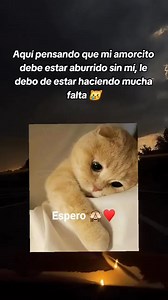 #FPF #ApoyoMutuo #SiguemeParaMas #SUSCRIBETE | Videos de anime y DragonBall