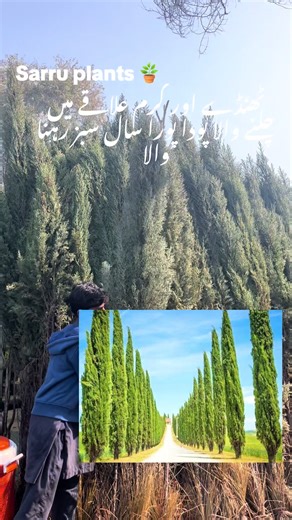 Transform Your Space Into a Living Masterpiece Your home or commercial space deserves more than greenery — it deserves expert planning, elegant design, and flawless execution. At sial landscape services , we design and build premium outdoor & indoor environments that elevate lifestyle, value, and aesthetics — from concept to completion. ✅ Landscape Design ✅ Architecture & Interior Design ✅ Walkways & Hardscaping ✅ Gazebos & Outdoor Structures ✅ Water Features & Waterfalls ✅ Complete Residential 