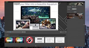 InPixio Photo Eraser 1.1