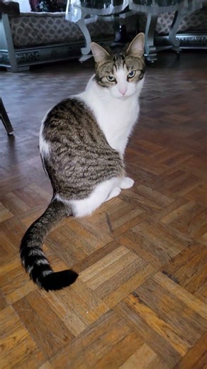 Max is going through a very difficult time… yet he's experiencing beautiful moments 🥺🌞