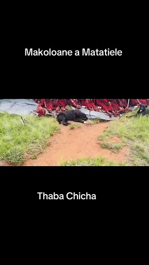 #Makoloane #Amakrwala #Matatiele #Basotho #NtateWire