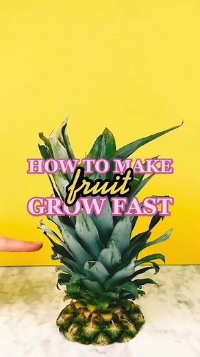 How to Make Stop Motion Videos Using Your Phone