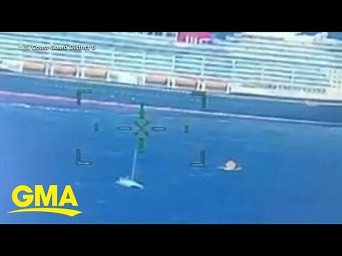 Disney cruise ship saves 4 on sinking vessel
