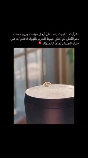 143K views · 1.1K reactions | سبحان الله العظيم.. #funny #funnyvideos #sketch #خبراء_مختبرات_العلوم #Science_Lab_expert's | خبراء مختبرات العلوم science lab experts | Facebook