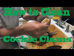 How to Clean Cockle Clams