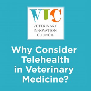 13 reactions · 3 comments | Need one reason to consider telehealth in veterinary medicine? We'll give you seven! The Veterinary Innovation Council just released its 7 Guiding Principles to telehealth legislation and why YOU should consider it for your practice. Find out more here: NAVC.com/VIC | NAVC | Facebook