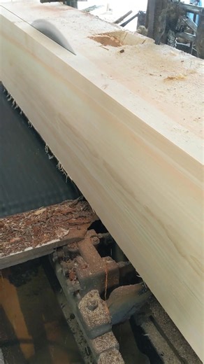 2021, back in time, beautiful pine 🧐😲 #mooressawmill #familybusiness #TimeTravel #woodworking #Manufacturing #WoodworkingTools #trend #lumber #sawmill #circularsawmill #fblifestyle #StarsEverywhere | Moore's Sawmill