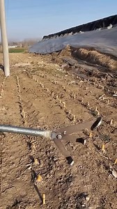 6.8K views · 12 reactions | Crop Residual Root Removal Process- Good Tools And Machinery Can Increase Work Efficiency #MachineryMasters #DIYProjects #ProfessionalTools #InnovationInTools #ConstructionLife #EfficientWork #ProTips #Craftsmanship #BuildingSolutions #WorkEfficiency #ToolTips #RenovationTips #PrecisionWork #CraftingSkills | Gabriel Hawk | Facebook