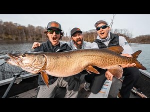 AMAZING SPRING MUSKY FISHING!! - Post Spawn Iowa Muskies on a Feeding Frenzy