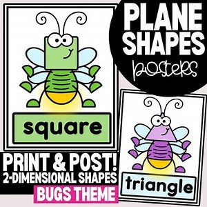 2D Shapes Classroom Posters & Practice Cards | Bugs Theme