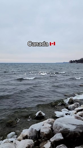 The beautiful of this amazing country never ceases to amaze me😍❤️ #fyp #foryou #canada #beautyofcanada #winterincanada