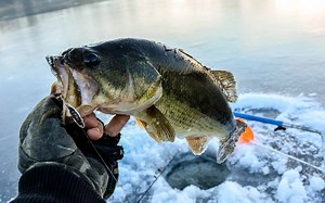 Lake Winnipeg Ice Fishing: Best Time to Go and 5 Types of Fish