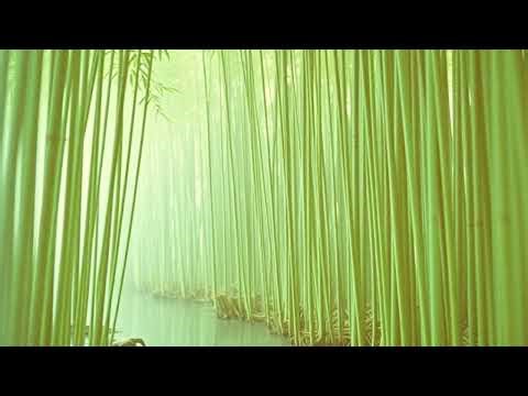 日本古来の癒し音楽｜和楽器による極上リラクゼーションサウンド