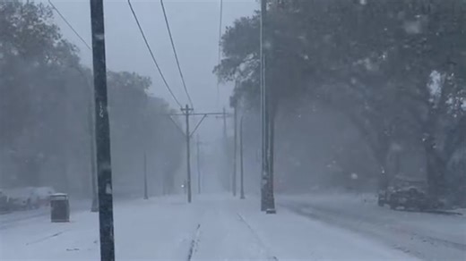 New Orleans transformed as rare snowfall blankets the city