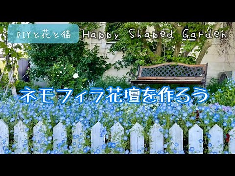 ネモフィラ花壇を作ろう！タネ植えから苗植えまでの育て方。春のお花とお庭づくり、初心者・簡単・園芸・ガーデニング