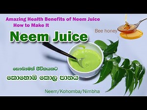 How to Make Neem Juice නිරෝගී ජීවිතයකට කොහොඹ කොල පානය