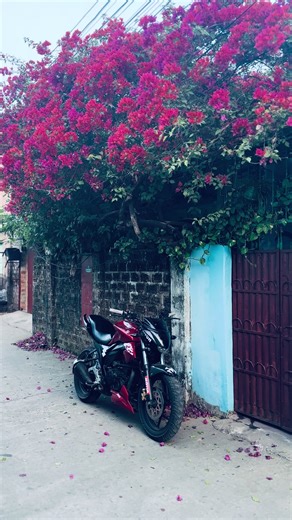 Affordable and Stylish Home Decor Ideas