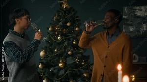 Medium shot of two young ethnically diverse men standing by Christmas tree with warm lights, toasting champagne glasses and chatting, having cozy feast celebration together at home
