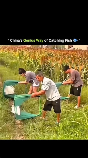 SCIENCE | FACTS | BEYOND | HISTORY | | This isn’t brute force fishing — it’s strategy powered by nature and science. 🧠🐟 By understanding fish behavior, water flow, and light... | Instagram