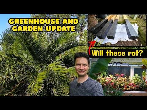 Spring Is Starting! 🌱 Greenhouse Tour & Garden Project Update Will the posts rot?